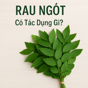 Lợi Ích và Cách Sử Dụng Rau Ngót